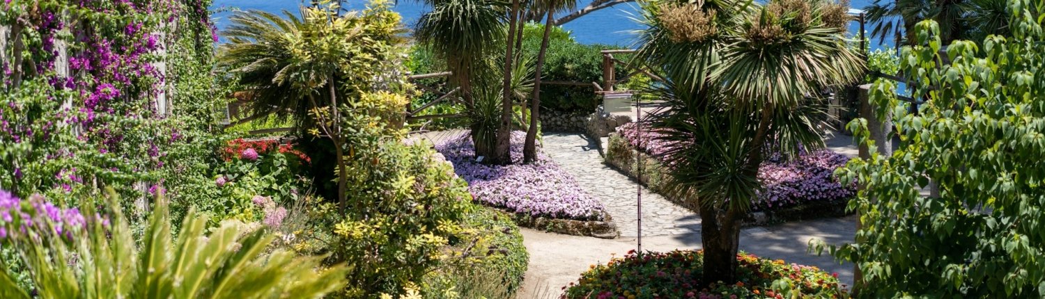 Ein gepflegter Garten ist Ihr Aushängeschild - ich helfe Ihnen dabei!